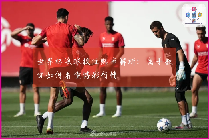 世界杯滚球投注赔率解析：高手教你如何看懂博彩行情
