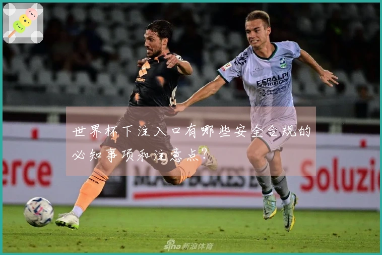 世界杯下注入口有哪些安全合规的必知事项和注意点?