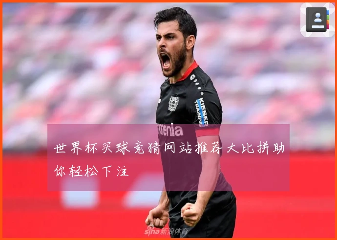 世界杯买球竞猜网站推荐大比拼助你轻松下注