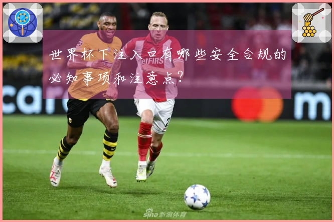 世界杯下注入口有哪些安全合规的必知事项和注意点？