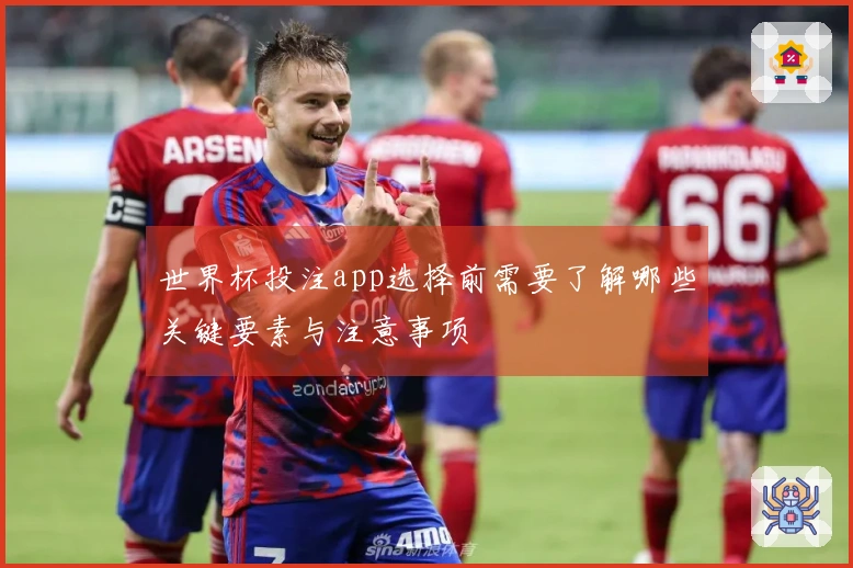 世界杯投注app选择前需要了解哪些关键要素与注意事项