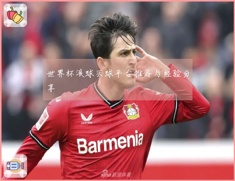 世界杯滚球买球平台推荐与经验分享